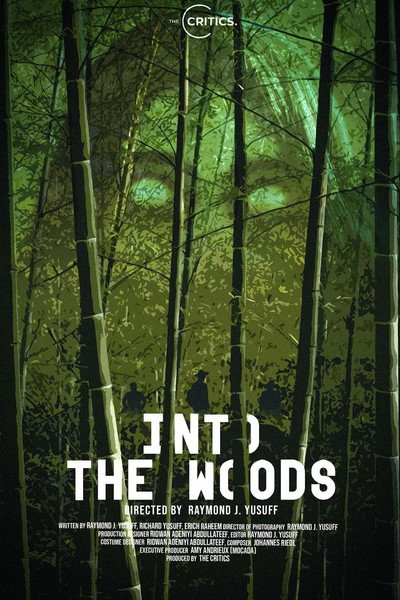 Póster de Into the Woods