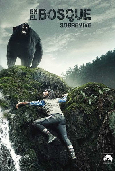Póster de Into the Woods