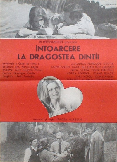Póster de Intoarcerea la dragostea dintîi