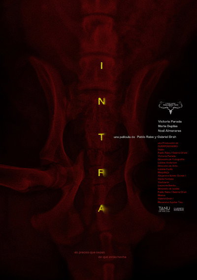 Póster de Intra