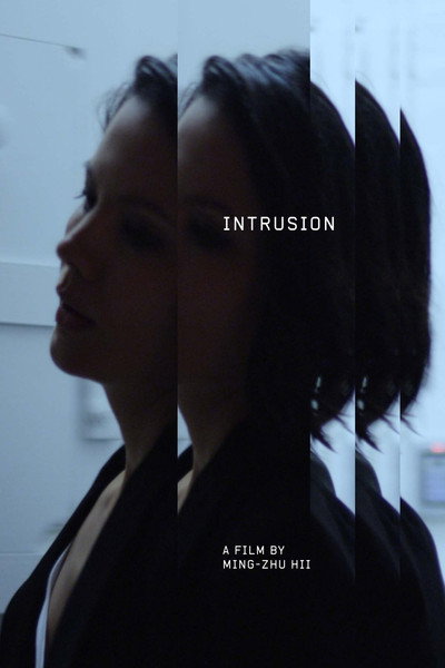 Póster de Intrusion