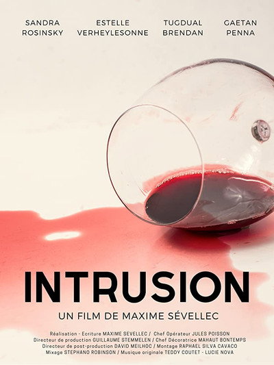 Póster de Intrusion