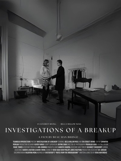 Póster de Investigations of a Breakup