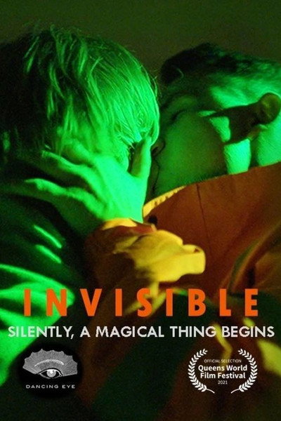 Póster de Invisible