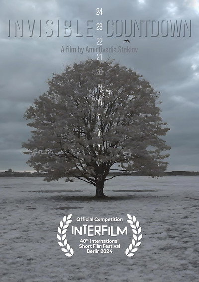 Póster de Invisible Countdown