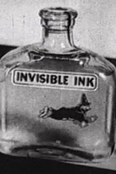 Póster de Invisible Ink