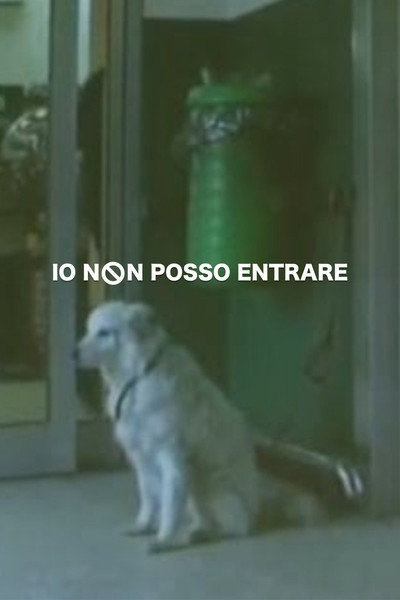 Póster de Io non posso entrare