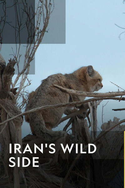 Póster de Iran's Wild Side