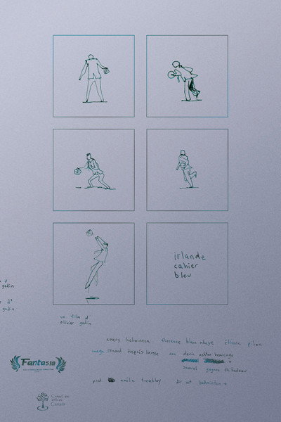 Póster de Irlande Cahier Bleu