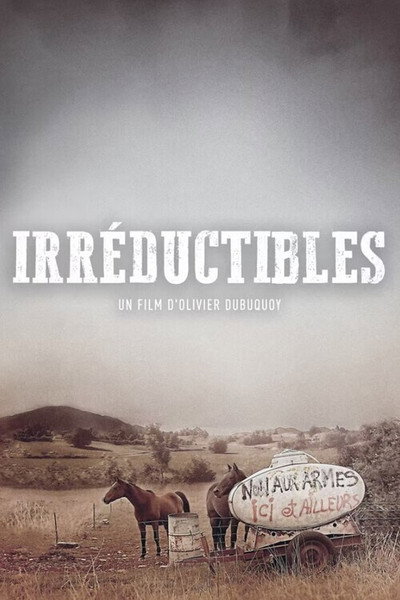 Póster de Irréductibles