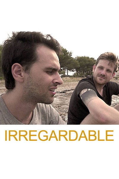 Póster de Irregardable