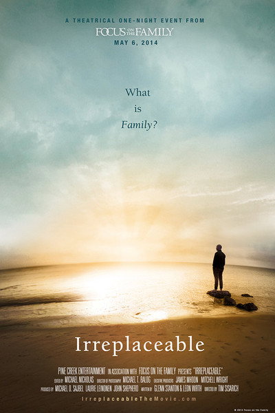 Póster de Irreplaceable