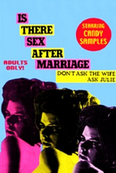 Póster de Is There Sex After Marriage