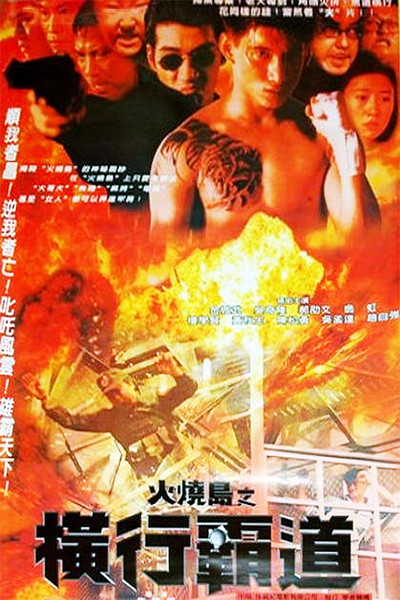 Póster de Island of Fire 2