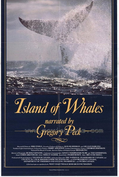 Póster de Island of Whales