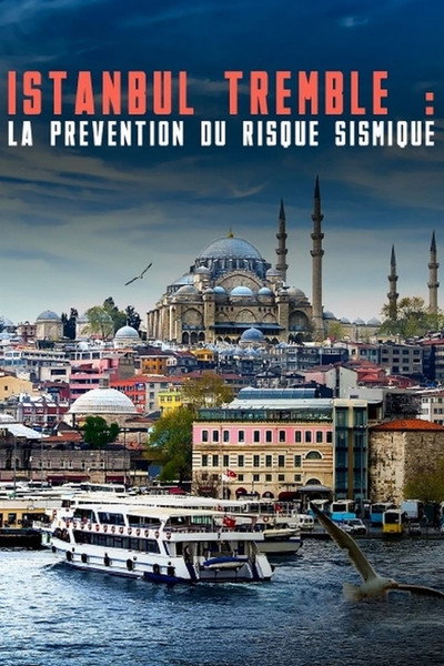 Póster de Istanbul bebt: Risiko und Frühwarnung