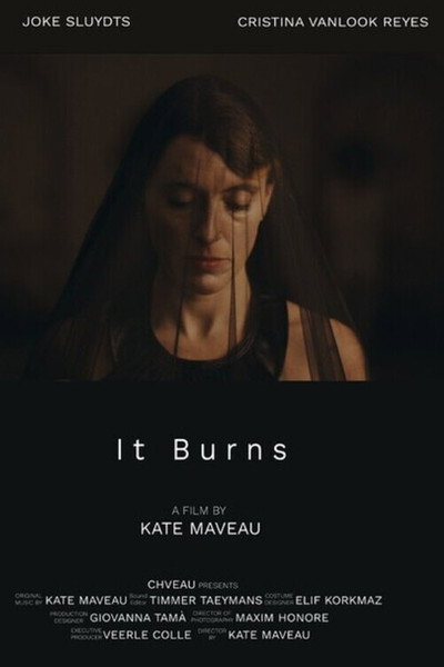 Póster de It Burns