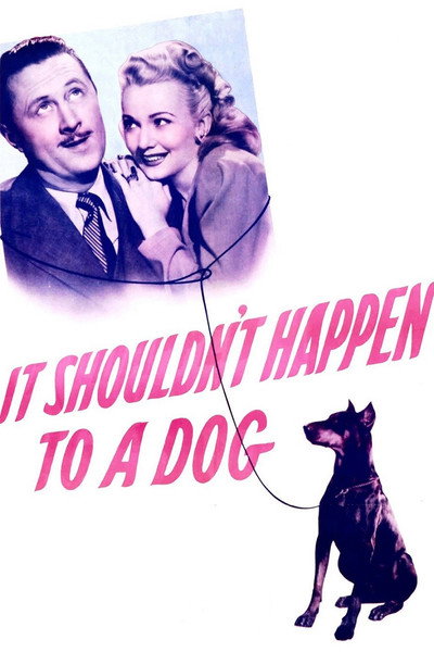 Póster de It Shouldn't Happen to a Dog