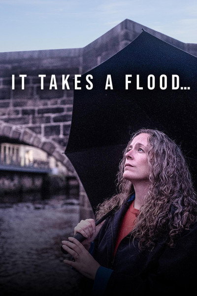Póster de It Takes a Flood...