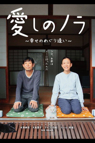 Póster de Itoshi no Nora, shiawase no meguriai