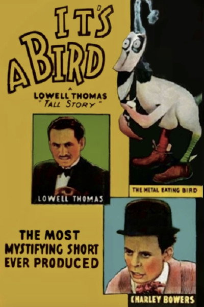Póster de It's a Bird