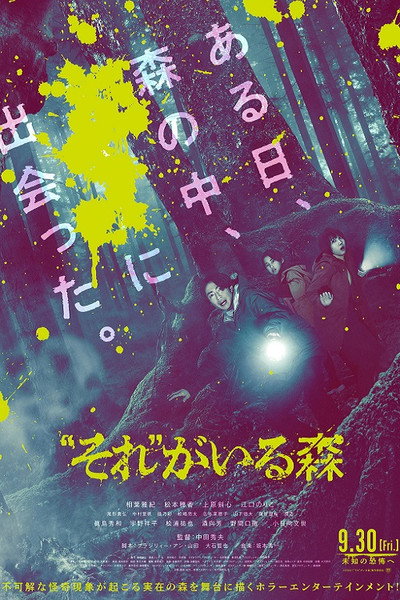 Póster de It's in the Woods