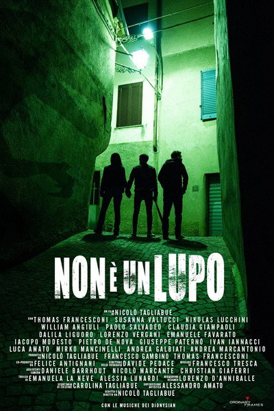 Póster de It's Not a Wolf