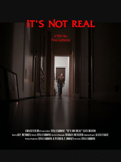 Póster de It's Not Real