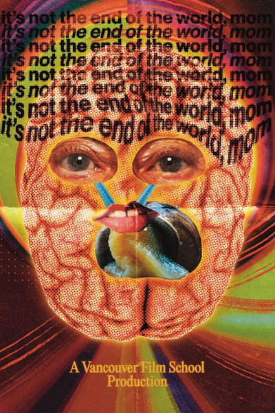 Póster de It's Not the End of the World, Mom