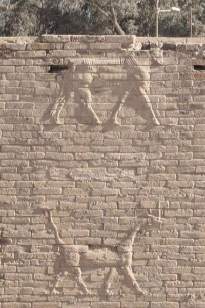 Póster de J-N-N