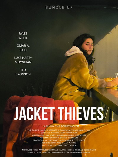 Póster de Jacket Thieves