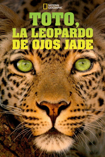 Póster de Jade Eyed Leopard
