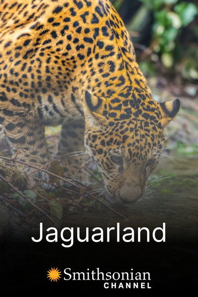 Póster de Jaguarland