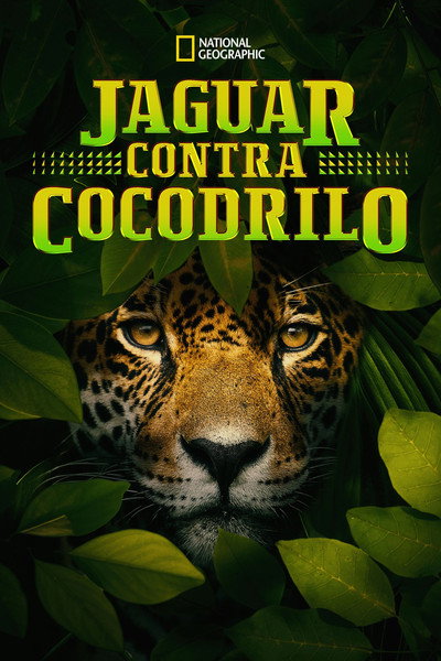 Póster de Jaguars vs. Crocs