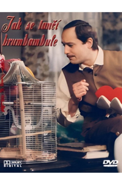 Póster de Jak se tancí brumbambule