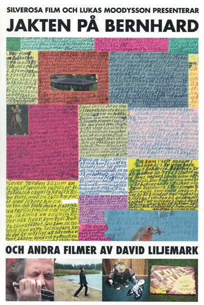 Póster de Jakten på Bernhard