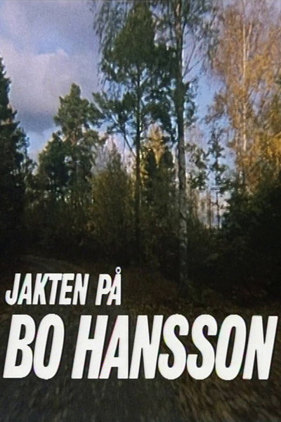 Póster de Jakten på Bo Hansson