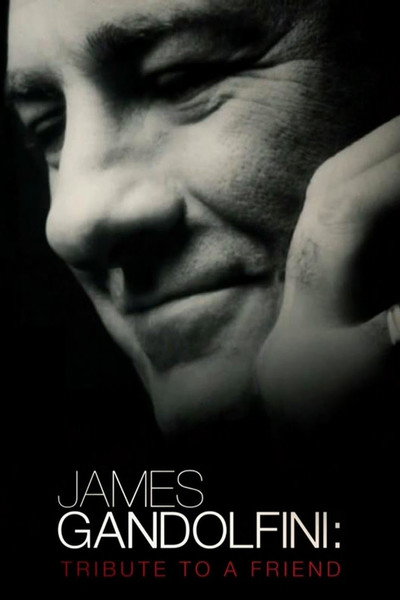 Póster de James Gandolfini: Tribute to a Friend