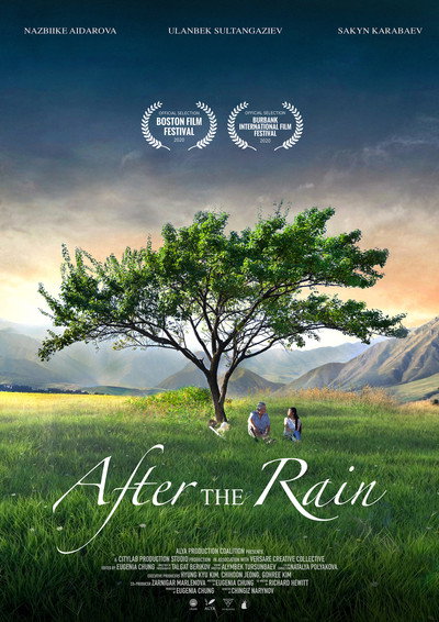 Póster de Jamgyrdan Kiin (After the Rain)