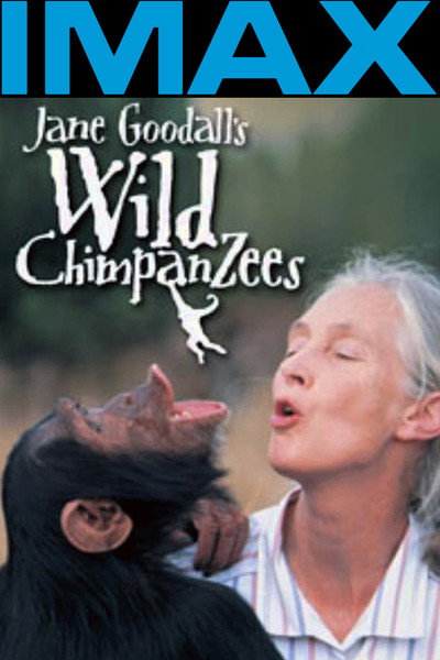 Póster de Jane Goodall's Wild Chimpanzees