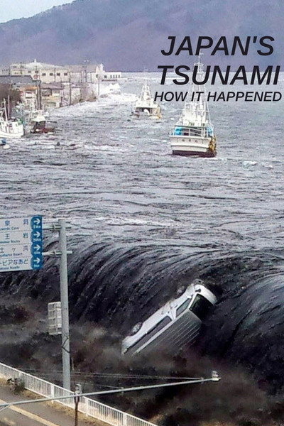 Póster de Japan Tsunami: How It Happened