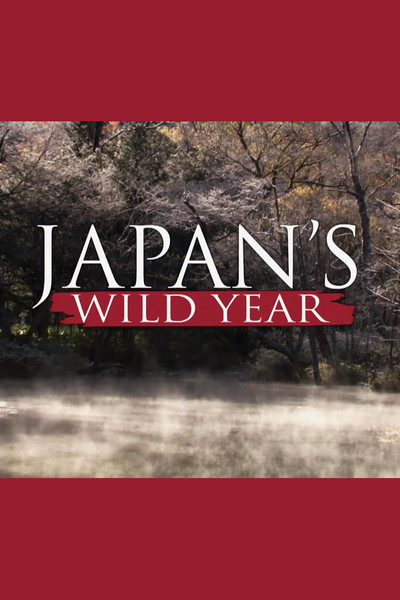 Póster de Japan's Wild Year