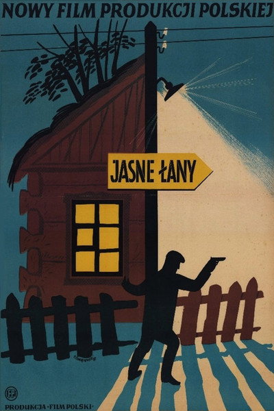 Póster de Jasne Lany