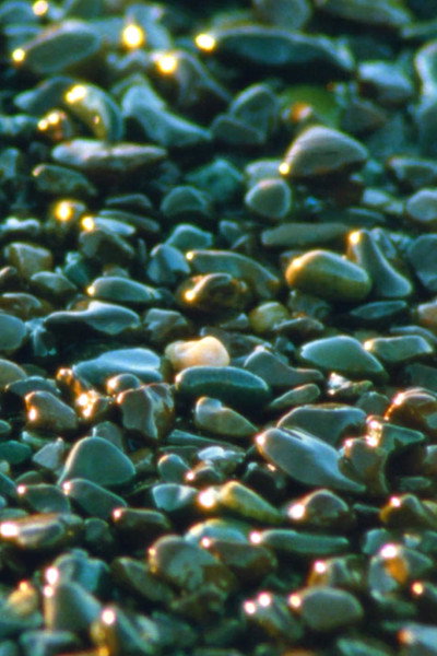 Póster de Jasper Beach and the Salt Marsh