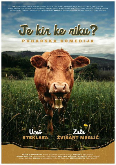 Póster de Je kir ke riku? Poharska komedija