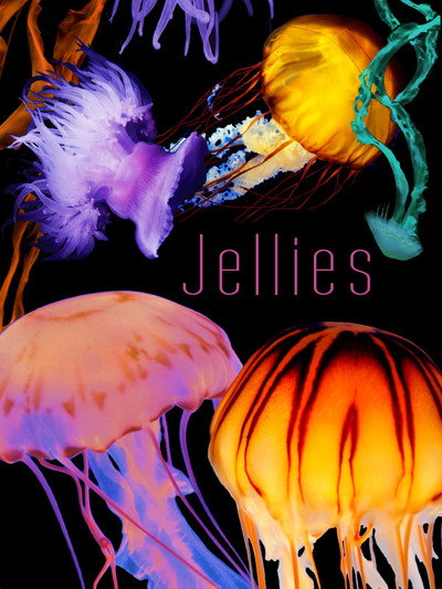 Póster de Jellies