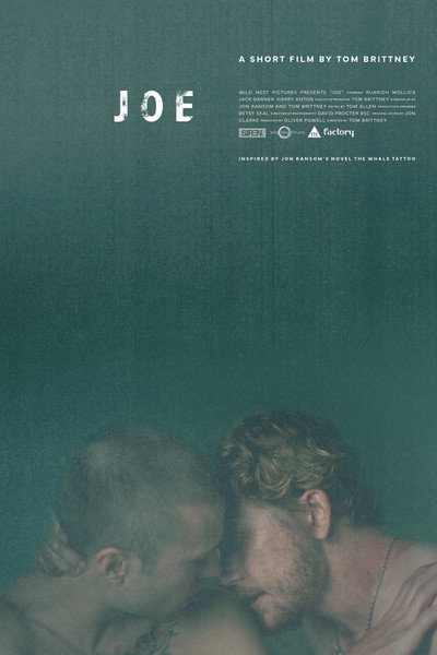 Póster de Joe