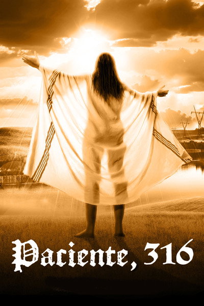 Póster de John, 316