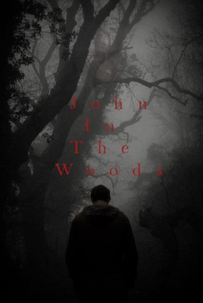 Póster de John in the Woods