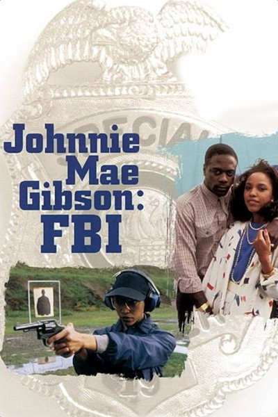 Póster de Johnnie Gibson: agente federal